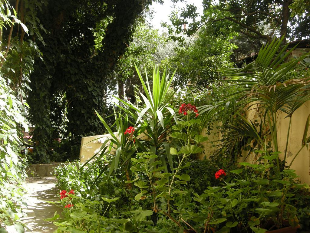 Ferienwohnung Muses Néos Marmarás Exterior foto